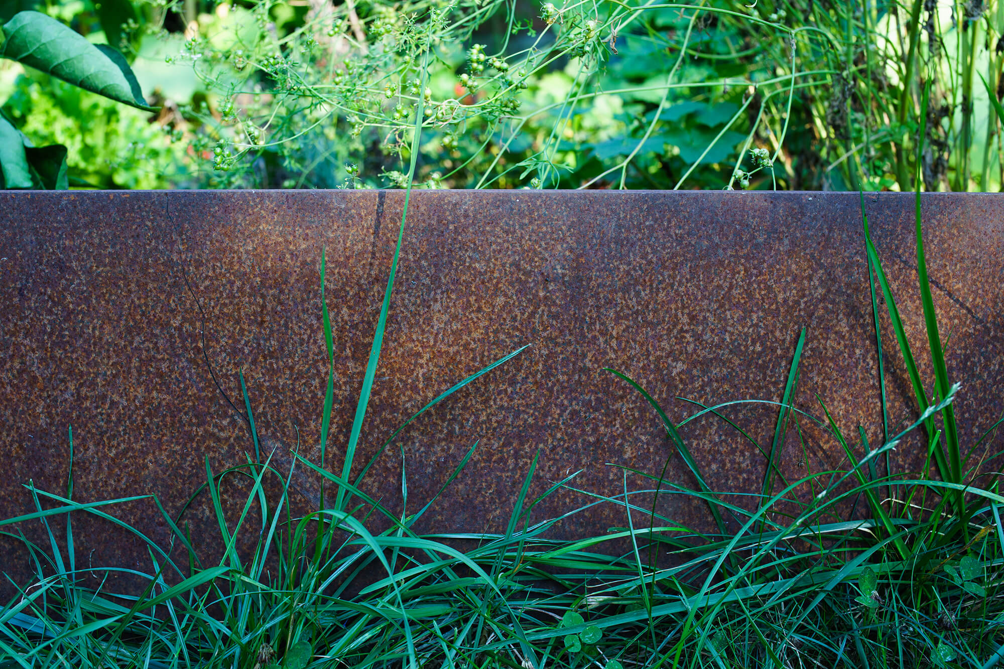 Sitemapcdatahttpgetcellcare1combordure Acier Corten Point P
