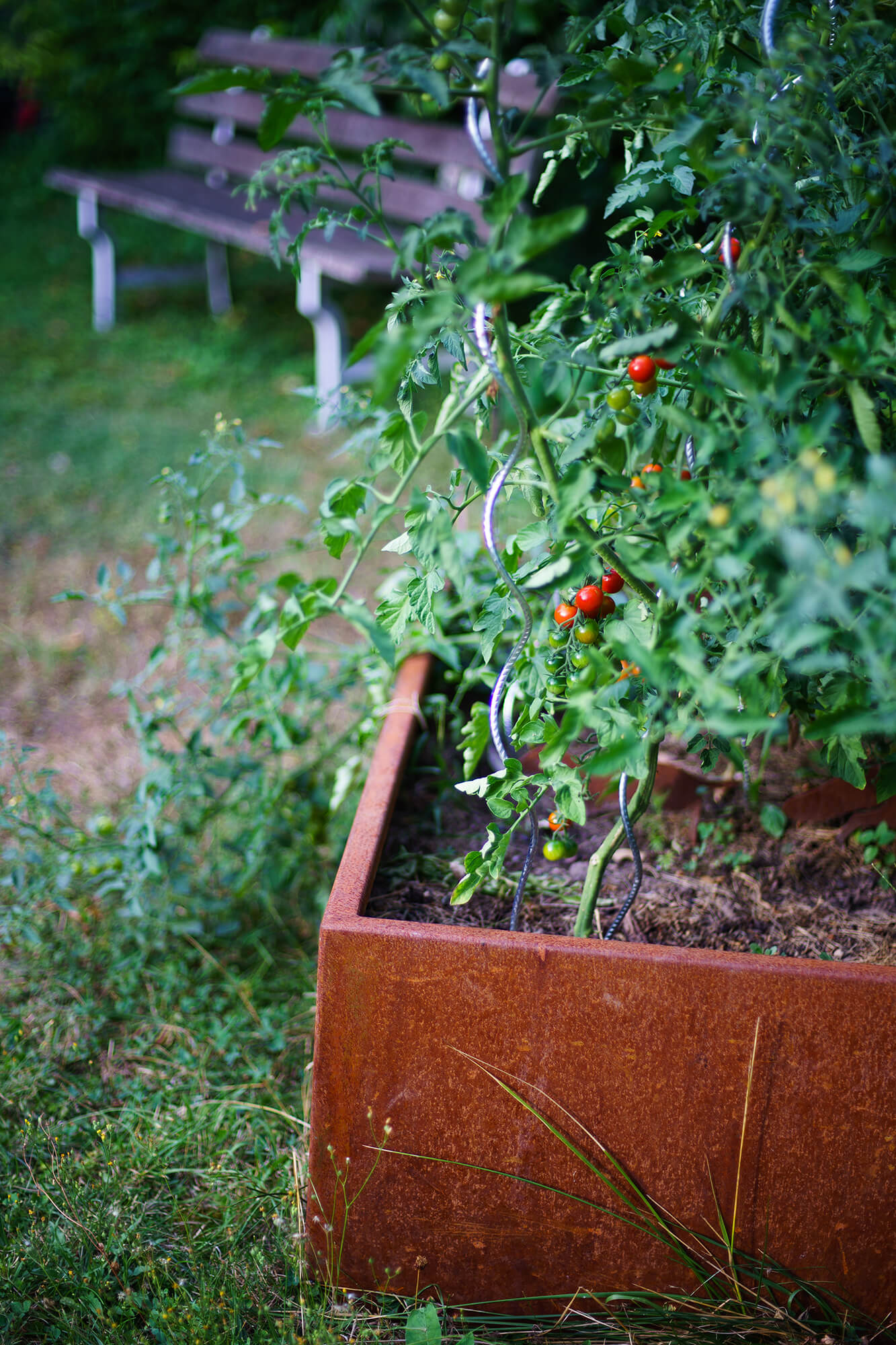potager acier corten